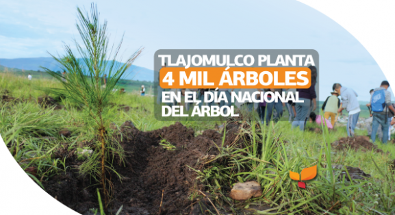 Tlajomulco planta 4 mil árboles en el Día Nacional del Árbol | H.  Ayuntamiento de Tlajomulco de Zuñiga